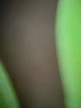 Sweet_vicky_hot Obrolan Langsung XXX