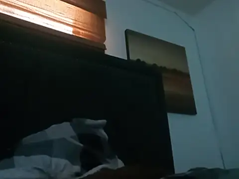 Blkstylion's Webcam Show