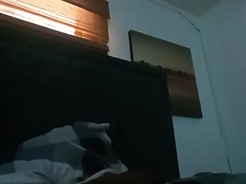 Show webcam de Blkstylion