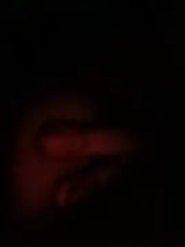 Linhxinhwksk's Live XXX Chat