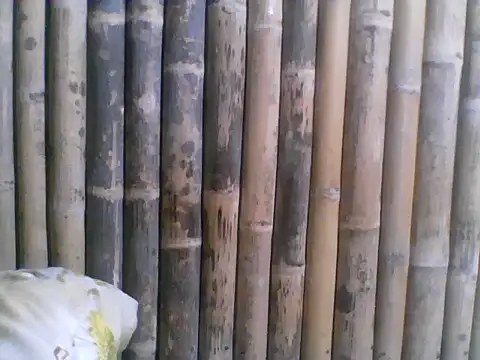 Онлайн чат XXX pinaychubbygirl
