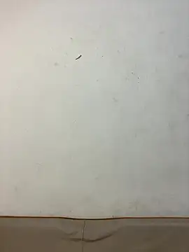 -OvO-'s Live XXX Chat