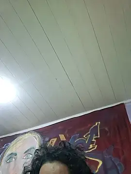 عرض كام Toycockhot