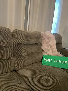 PuckBunny17n Webbikameraesitys
