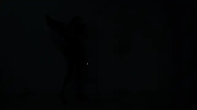 CQ-666 Live XXX Chat