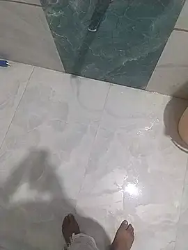 Desiandajn Webbikameraesitys
