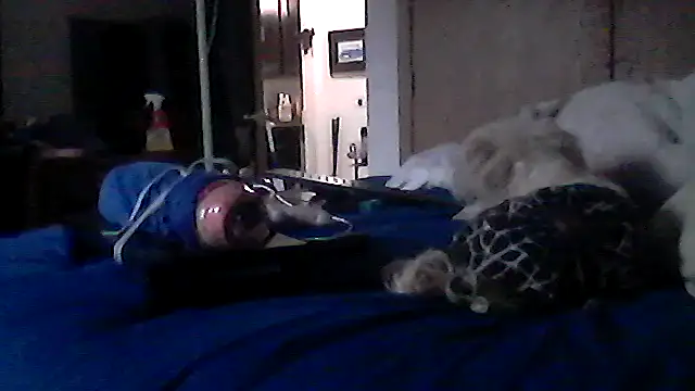 Silencio26 Chat XXX in diretta