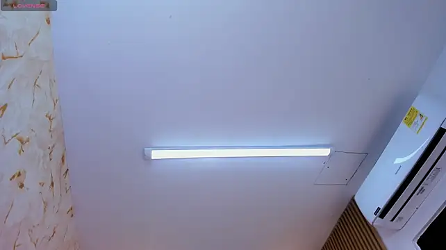 GenesisBlaze's Webcam Show