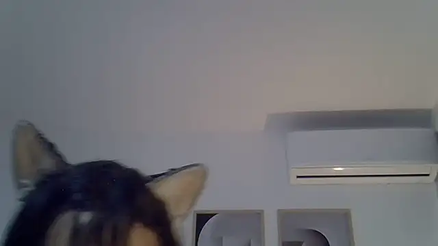 Živý XXX chat SkinnyKitten