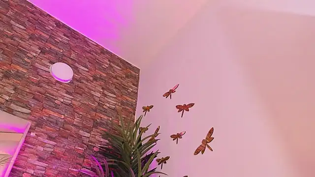 Chat XXX ao vivo de emaa_lambert