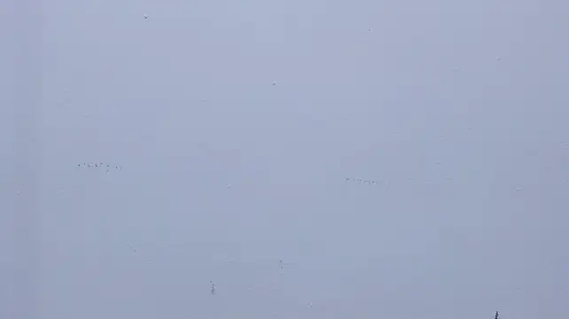 Онлайн чат XXX Mia_and_Erick