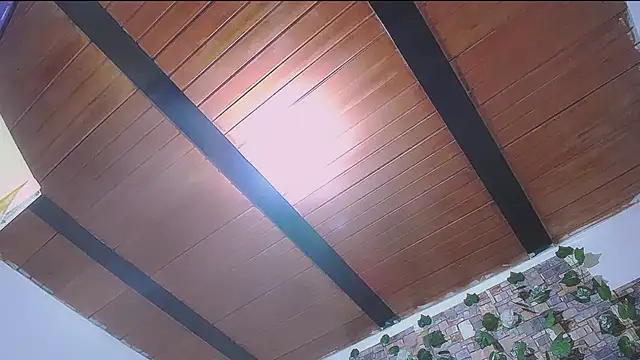 MaidenGame 라이브 XXX 채팅