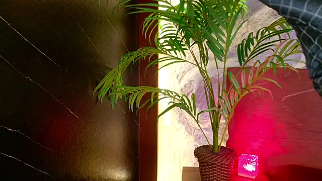 MelodyAdamssのライブXXXチャット