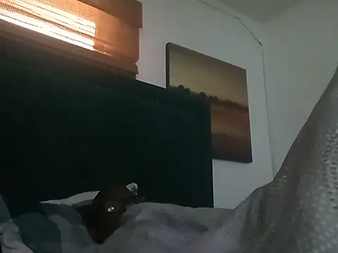 Онлайн чат XXX Blkstylion