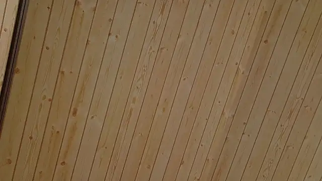 minami_roomのウェブカメラショー