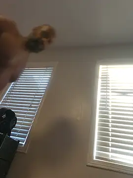 Bulgemaster001 Live XXX Chat