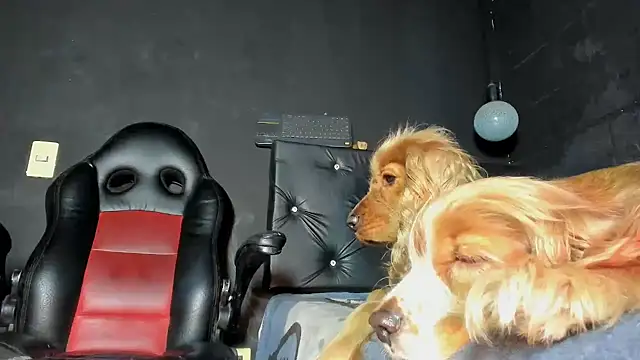 Živý XXX chat FuckHardlove