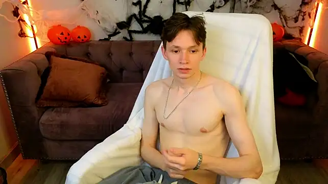 Show Webcam de MeverikShen