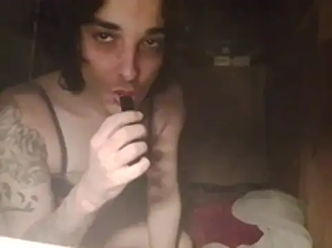 Chat XXX Live TransLexata